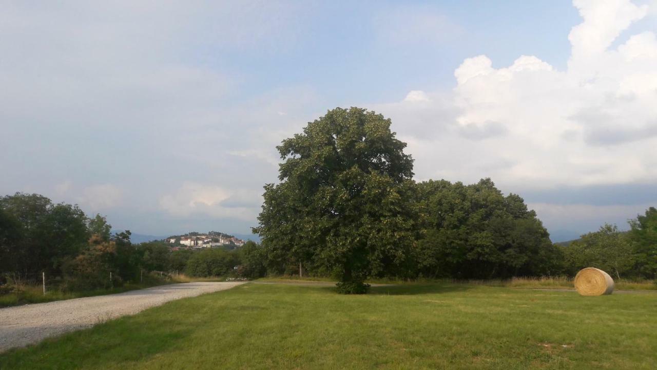 Vila Salamander Štanjel Zewnętrze zdjęcie